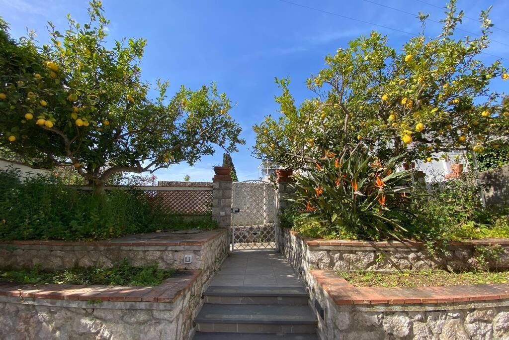 I Limoni Capri Apartment 외부 사진